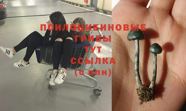 стафф Беломорск