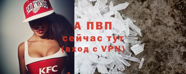 стафф Беломорск